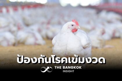 รูปข่าว ‘ซีพีเอฟ’ ผลิตเนื้อสัตว์ปลอดภัย มาตรการ ‘ป้องกันโรคสัตว์ปีก’ ระดับสูงสุด